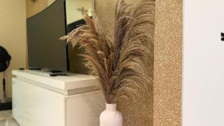 La Maison des Palmiers - 5