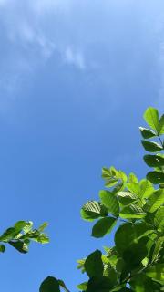 Pai room ห้องพักปาย - 9