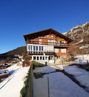 Sunny & Bright Swiss Apartment with Jungfrau View - 6
