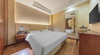 Chonpines Hotel Beijing Daxing Airport Caoqiao Metro Station - 8