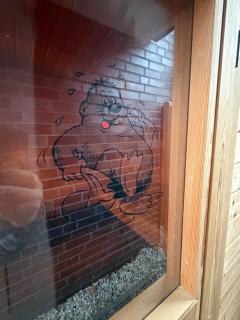 Ferienwohnung- Monteurwohnung- Businesswohnung- Wellness- Sauna - 8