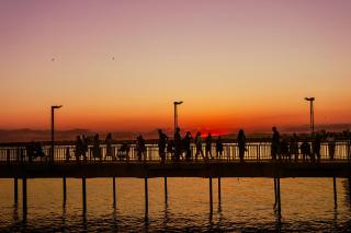 Cosher - Gardenia Palace Apt 10 Free Parking - Pomorie - 7