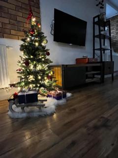 Underground apartment Bratislava-Nivy - 9