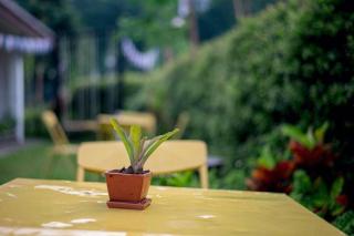 CoZy House Chiangrai - 6