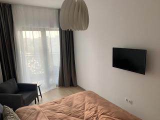 Luxury 2 Bedroom Apartment - Timisoara City Center - 6