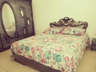 Dar Dhiafa Mayar - 6