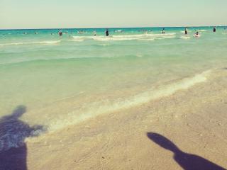 Dar Dhiafa Mayar - 3