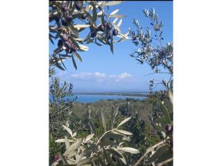 La Torre sul Ponte, Seaview, Gaden - 8