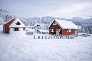 Arctic House - 9