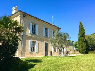 Maison Girondine au milieu des vignes du Château d Yquem avec belle vue - Preignac - 9