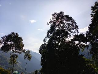 Ella View Homestay - 8