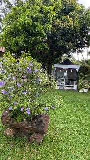 Sean Sabai The Secret Room - 4