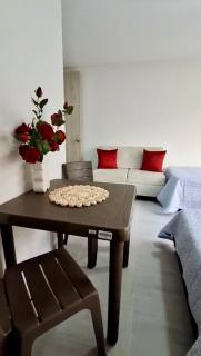 Acogedor apartamento en Ibague, central y nuevo - 8
