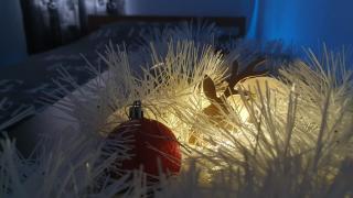 Maisonnette proche Bordeaux Promo Noël-Netflix - 2