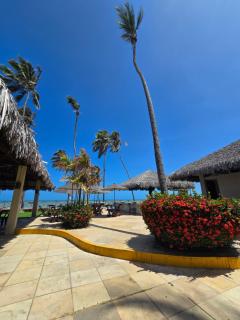 Eco Paradise 129 - 5