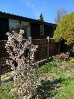 Summer Bliss With Vibrant Garden In Nødebohuse - 1