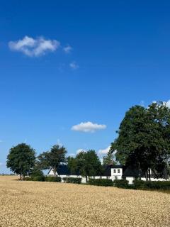 Studio På Traditionell Gård Bland Österlens Fält - 8
