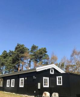 Summer House On Sunshine Island Bornholm - 5