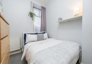 Modern 1BR Apartment in Wallfield - City Location - 2