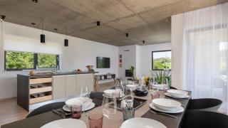 Beautiful villa Perlin with pool in Visnjan - Farini - 2