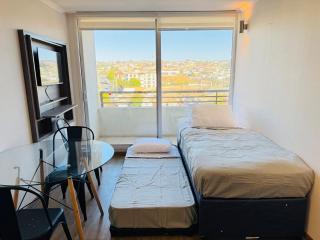 Cerro Los Placeres, Valparaíso - 5