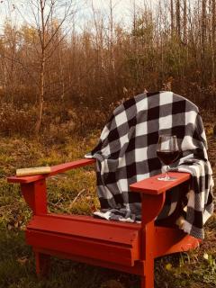 The Birches Cabin, at home in the woods! - 7