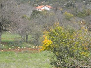 Holiday Home Steinhaus in Leonido mit Parkplatz by Interhome - 6