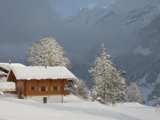 Apartment Chalet Bärgbächli by Interhome - 2