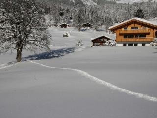 Apartment Chalet Bärgbächli by Interhome - 1