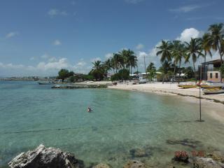 Studio Hibiscus Le Kayela - 1