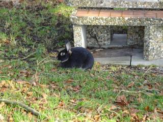 Apartment Rehalp Westen by Interhome - 4