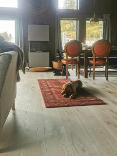 Mountain Cabin With Panoramic Views In Oppdal - Gorset - 2