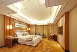 voco Shanghai Zhangjiang by IHG - Free shuttle to Disneyland - 8