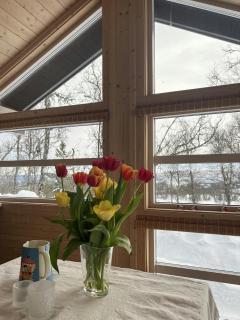 Modern Ål Cabin At The Foot Of Reinskarvet - 4