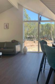 Nordic Summer House In Ålbæk With Spa And Sauna - 2