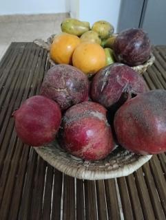 ABU Nubian Guest House - 7