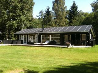 Scandinavian Home With Fantastic Location - 9