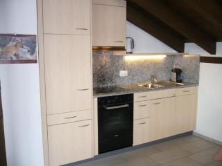 Apartment Chesa Arnica A5 by Interhome - 7