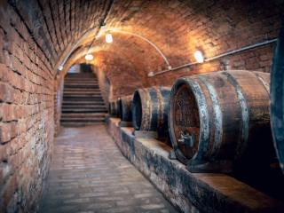 Holiday Home Weinfass-Chalet für 4 in Grub an der March by Interhome - 2