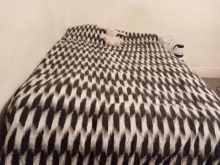 Rachael Guest House - 5