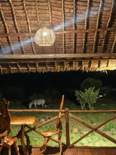 Veilscape Mara Camp - 7