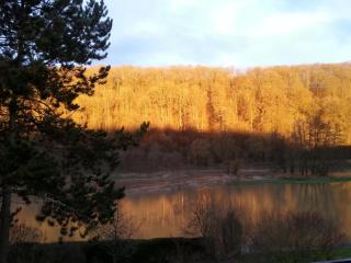 Paradiesgarten am Saaleufer - 7