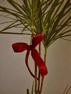 스테이 포제트 - 3