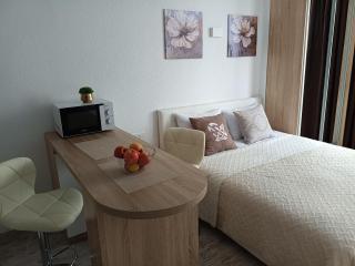 Apartment Kiev Studio with city view - 3