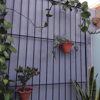 Rosa dos ventos suíte 1 - 9