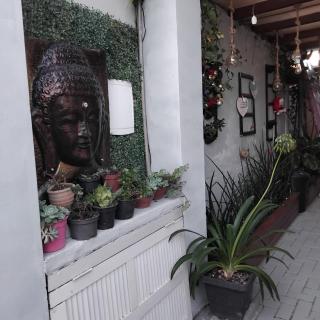 Rosa dos ventos suíte 2 - 7