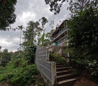 Paddy Creek Jungle Resort Coorg - 2