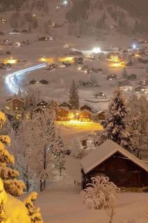 Holiday Home Chalet Gletscherfloh by Interhome - 1