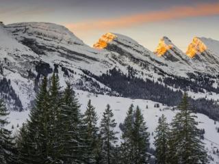 Holiday Home Ski- und Gruppenhaus by Interhome - 8