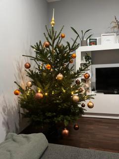 Modern two bedroom flat with balcony - 7